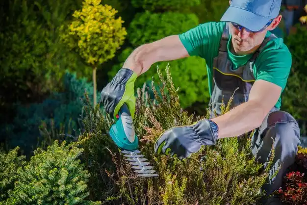 landscaping services De Soto